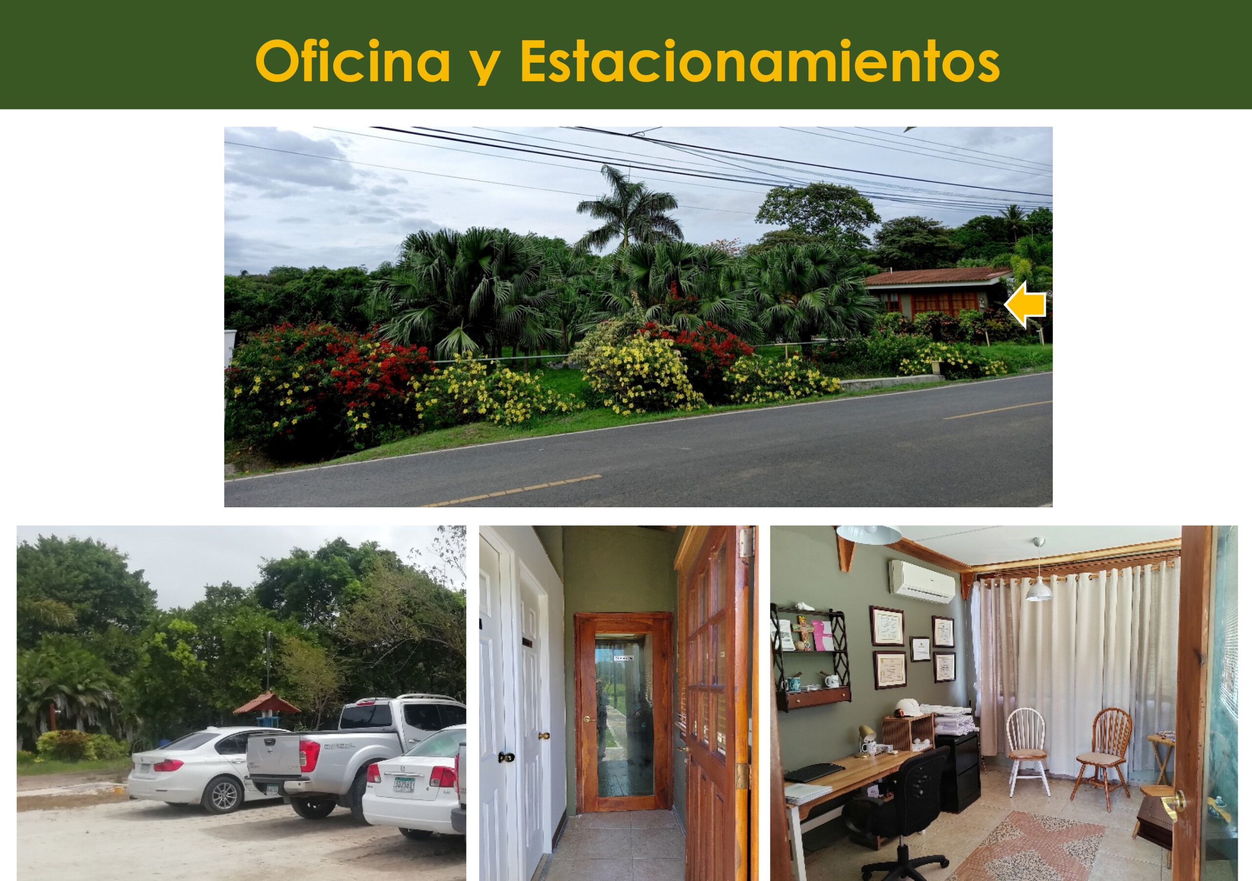 manantiales-5